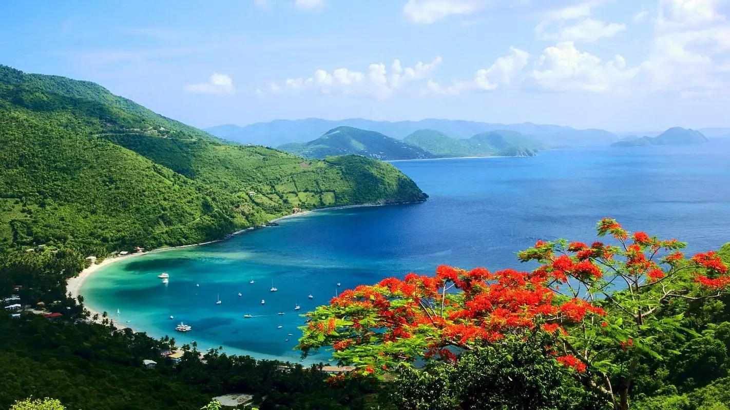 节能全自动智能系统